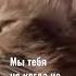 Мы тебя не когда не забудем