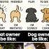 Cat Vs Dog Tail Language