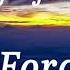 Afrojack Never Forget You Lyrics
