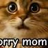 This Cat Is Saying I M Sorry Mommy Listen And Subscrib Right Now Cat Kitten Funny Travelpet