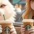 The Cute Cat Enjoys Starbucks Before A Romantic Beach Date