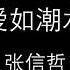 张信哲 爱如潮水 歌词版
