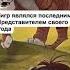 злодеи которые были правы шерхан