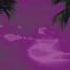 Songs Ohia Lioness