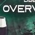 Dark Deadly Liberty Ammo Overwatch 45 ACP Self Defense AMMO Ballistic Gel Test Review