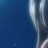10 Hour Bunny Girl Senpai Drill Remix Prod Baba TikTok Version Lyrics