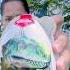 Unboxing DINOSAUR Candy Funny Satisfying Canddy Candyclothing Shorts Video