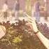Project SEKAI At This Festival Bathed In Twilight Event BGM