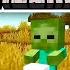 We Play Minecraft