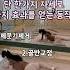 하루 1분만 투자해서 일어나서 자기 전 이동 작 어때요 단 한가지 동작으로 고관절 막힌 순환 뻥 뚫어봐요 순환운동 순환 홈트 홈트레이닝 스트레칭