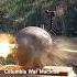 50 Cal Tracer Vs Ballistic Dummy Head Callofduty Gaming