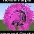 Kyoshiki Murasaki Hollow Purpur Block Minecraftbe Commandblockcreations