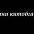 78 Набаъ Naba Surasi