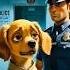 Poor Puppy Rescues His Brother From Jail Emotional Reunion Heart Touching Story Poorpuppy