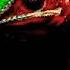 Chameleon Sound Effect No Copyright Chameleon Shorts Animal Shorts
