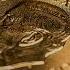 Gold Rally Could Be Past Its Peak By Year End StanChart