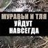 ТЛИ и МУРАВЬЕВ вы БОЛЬШЕ НЕ УВИДИТЕ эффективное средство от вредителей дача сад огород