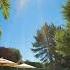 Pleasant Healing Music To Listen To In An Outdoor Swimming Pool Aipictures