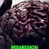 Why Albert Einstein S Brain Was Broken Into 240 Pieces Shorts