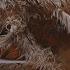 Viking Dane Axe For Honor Man At Arms Reforged Feat Mark Dacascos