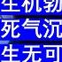 老王来了 中国失业率失业潮问题安信证券首席经济学家高善文最新演讲憋大招生机勃勃的老年人 生无可恋的中年人 死气沉沉的年轻人 20241204 老王的咸猪手