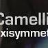 かめりあ Camellia Axisymmetricness World