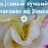 религия ислам коран семья любовь напоминание даават Qoran Quran Quraan