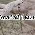 самые опасные породы собак в мире