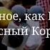 Сура 36 Йа Син 48 70 аяты Шейх Мухаммад Аль люхайдан красивое чтение Корана