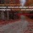 Juma Muborak Kamilov And Forever Kamilov And Forevers