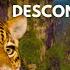 BRAZIL AS YOU VE NEVER SEEN IT Full Documentary