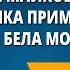 А Майков Ласточка примчалась из за бела моря