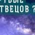 Как могут мертвые хоронить мертвецов Евангелие Толкования святых