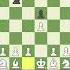 4 MOVE CHECKMATE Best Chess Trap For Beginners Wayward Queen