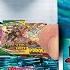 This Biggest Alternate Art Pokemon Card Hunt Ever