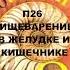 П26 ПИЩЕВАРЕНИЕ В ЖЕЛУДКЕ И КИШЕЧНИКЕ БИОЛОГИЯ 8 КЛАСС АУДИОУЧЕБНИК СЛУШАТЬ АУДИО ОНЛАЙН