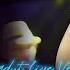 IMING IMING Shinta Gisul Cinta Bojone Uwong Hehe Haha Live Dangdut Koplo Version