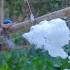 The The Life Of Cotton I Promise Next Time I Will Come Up With A New Name Of Series