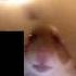 Me Calling My Mother To Hamster Meme Memes Funny