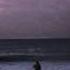 Calvin Harris Feat Example We Ll Be Coming Back Lyrics