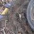 Planting Till The Wheels Fall Off