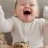 Baby Fart And Laugh Babyfart Funny Cute Hamster Foryoutube Makeitviral