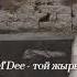 M Dee той жыры Slowed