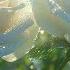 Beautiful Melody To Tears Music For The Soul Music By Sergey Grischuk