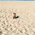 Buddy And The Ocean Funnyvideos Cute Toypoodle