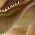 DWM Cursed Image But With Caretaker Its Just A Burning Memory