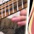 BanG Dream Ave Mujica Opening KiLLKiSS Cover By MattyyyM