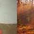 David Clements A Key Paradigm Shift Of NOW A Message Of Love Of Inner Earth Cosmos More