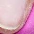 BFLEX Alles In één Gel Van PRONAILS APPLICATIE INSTRUCTIEVIDEO