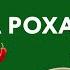 Сальса Роха Мексиканский Острый Соус для Вашего Любимого Блюда Думай как Шеф